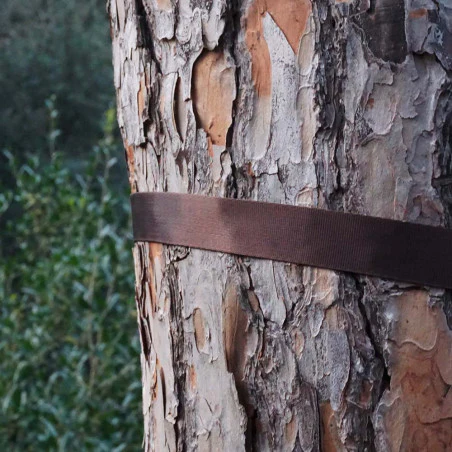 DD Hammocks Tree Huggers XL - Sistema de suspensión para hamacas