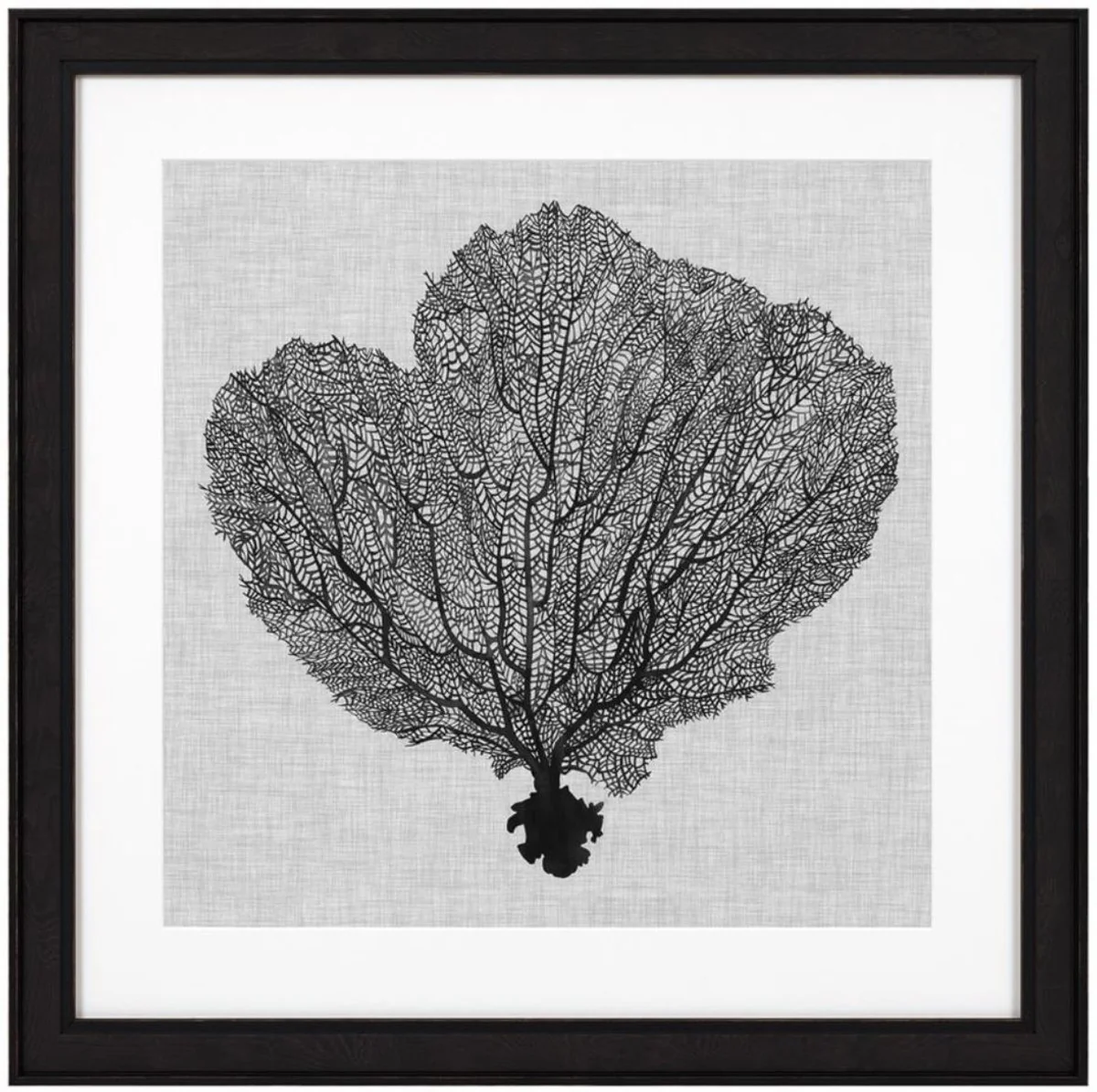 Casa Padrino Images Conjunto de 4 Helechos Marinos Negro / Blanco / Gris 61,5 x H. 61,5 - Impresiones de Arte de Lujo con Marco de Madera