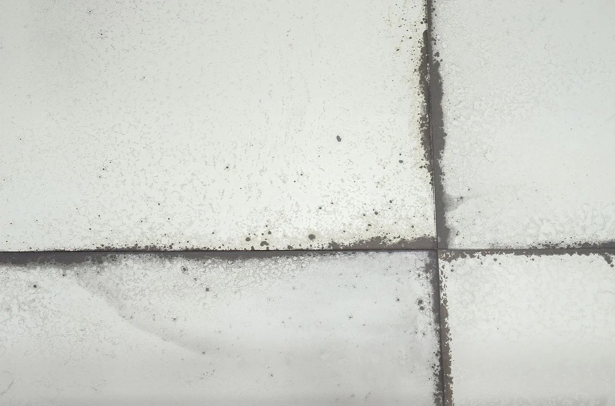 Casa Padrino espejo de pared de dise?o con espejo antiguo de cristal 90 x H. 244 cm - espejo de lujo