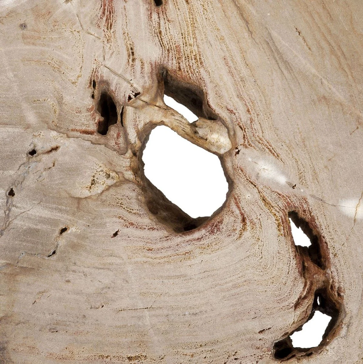 Casa Padrino mesa de centro de lujo natural / plata 115 x 68 x A. 35 cm - Mesa de sal¨®n noble con tablero de madera petrificada y patas de acero inoxidable - Muebles de sal¨®n de lujo