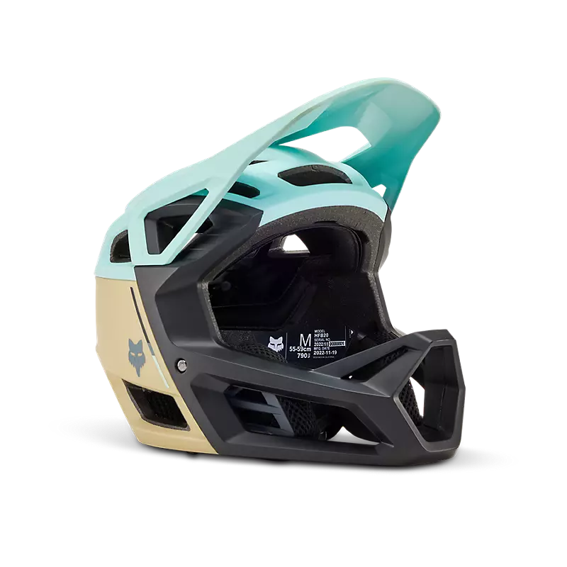 Proframe Helmet