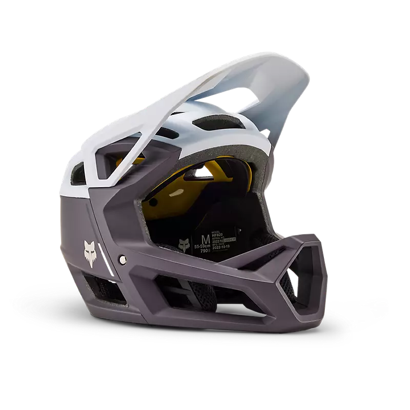 Proframe Helmet