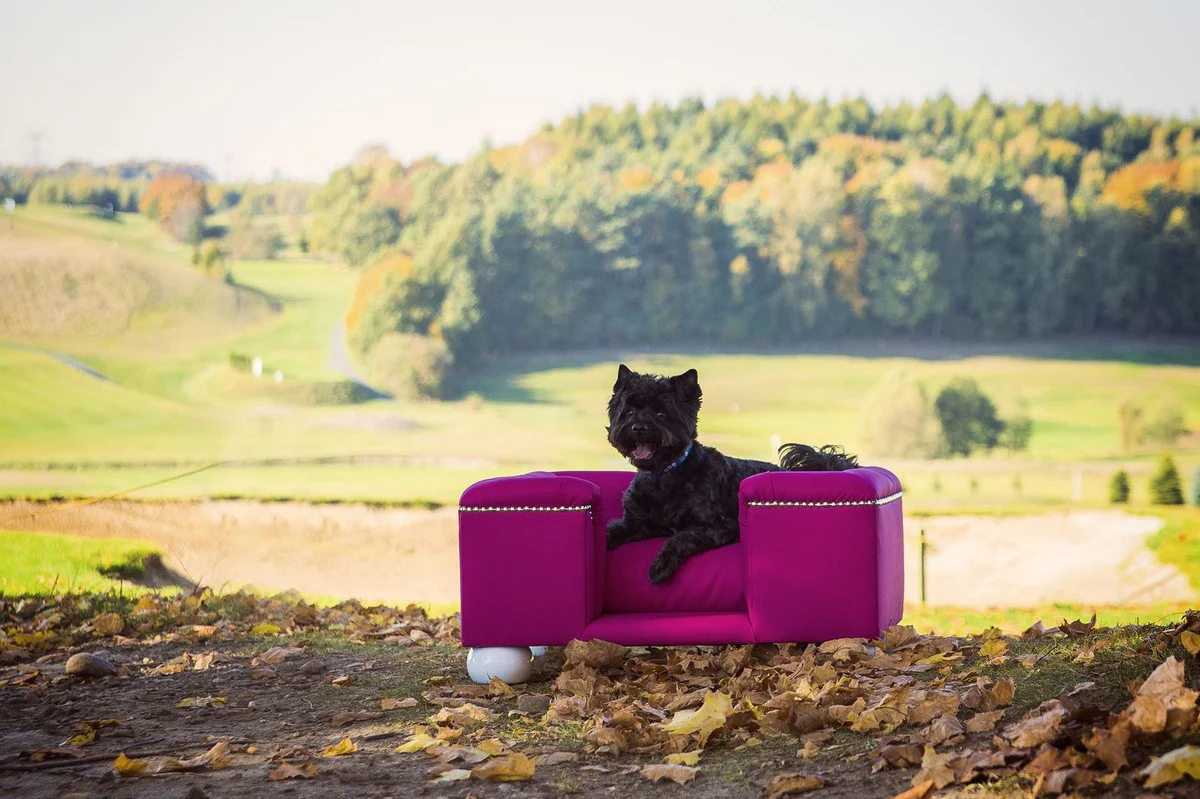 Casa Padrino cama para perros de lujo púrpura / blanco / púrpura 80 x 65 x A. 37 cm - Cama para perros rectangular moderna con cojín - Muebles para perros - Muebles para mascotas de lujo