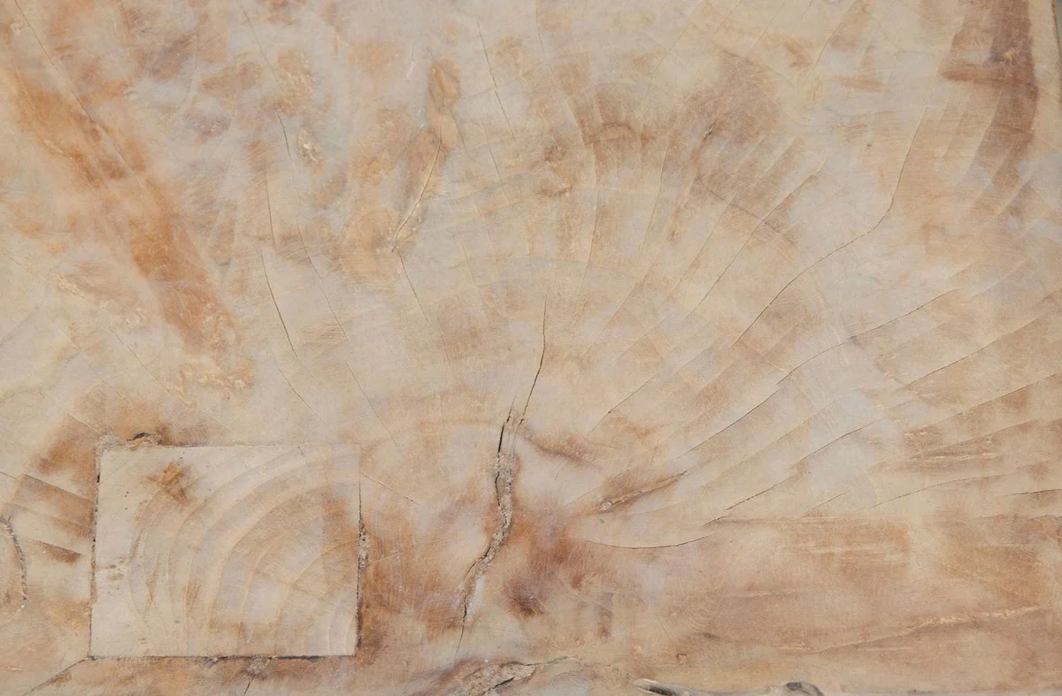 Casa Padrino mesa auxiliar sala de estar de la colores naturales 31 x 31 x H. 40 cm - Colecci¨®n de Lujo