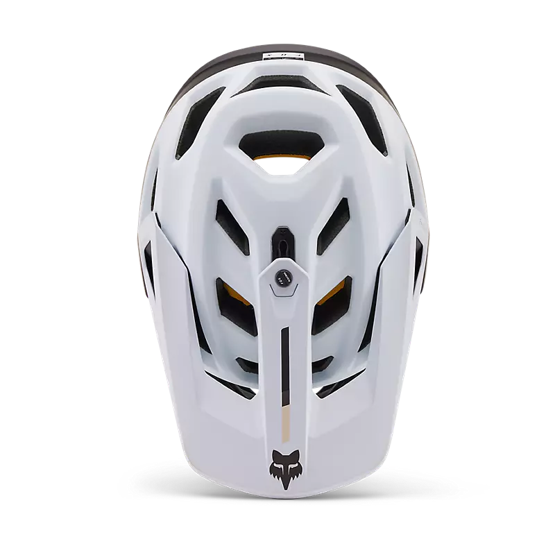 Proframe Helmet