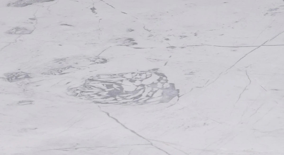 Casa Padrino mesa de centro de lujo negro / blanco 120 x 120 x A. 35 cm - Mesa de sal¨®n cuadrada moderna con encimera de m¨¢rmol de Carrara y marco de acero inoxidable - Muebles de sal¨®n de lujo