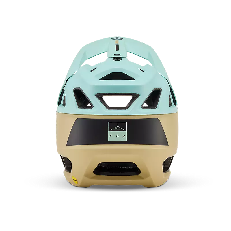 Proframe Helmet