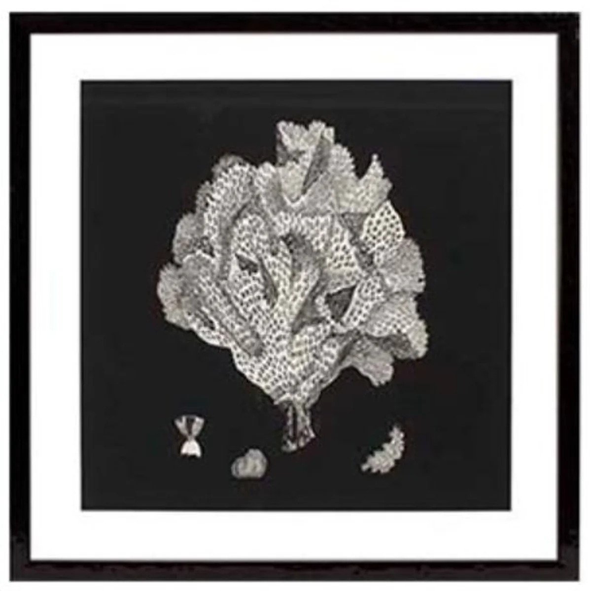 Casa Padrino Imágenes / Art Prints Conjunto de 4 Coral Negro 64 x H. 64 cm - Decoración de Lujo