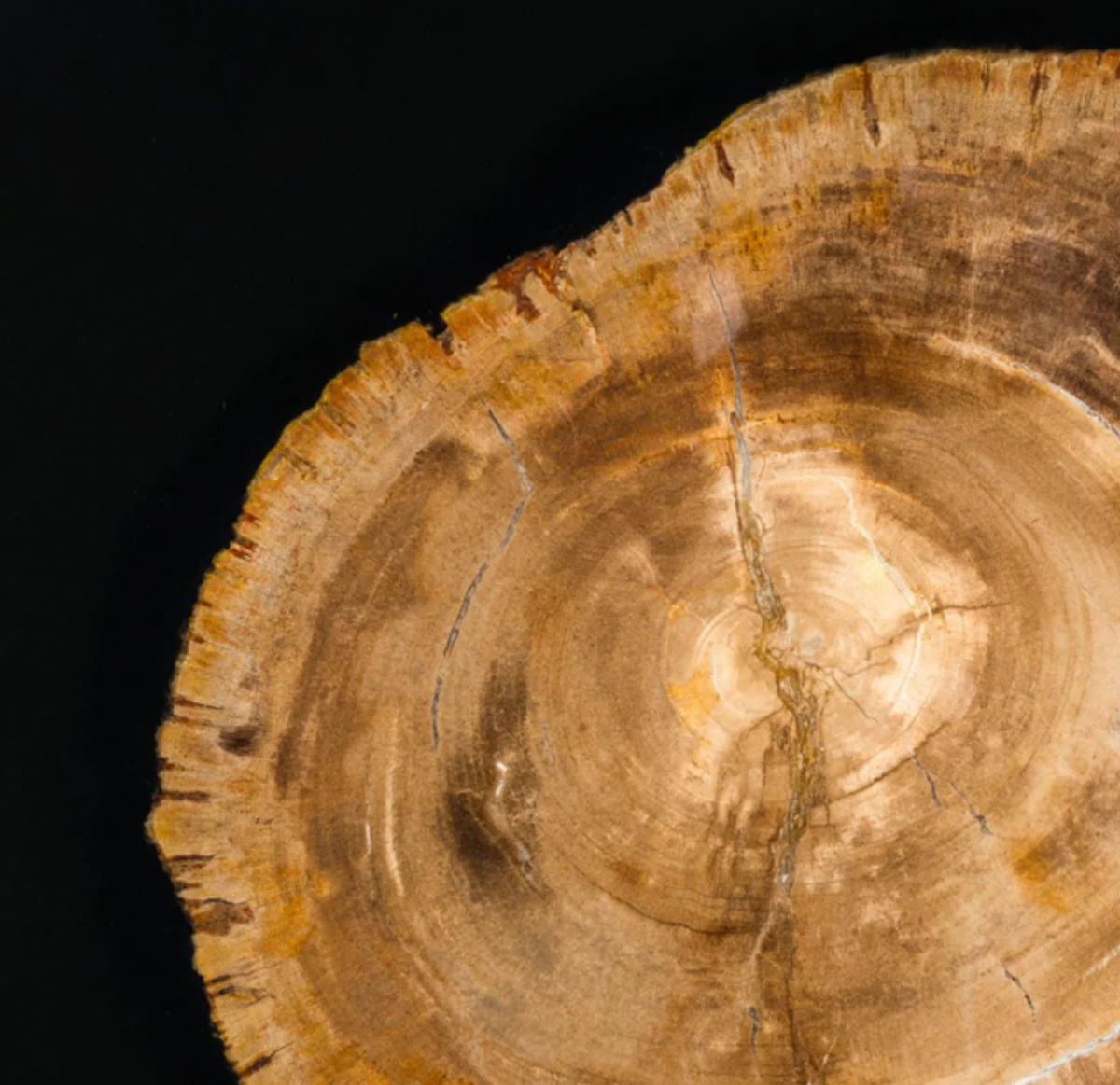 Casa Padrino luxury side table hollow steel nickel finish 51 x H 56 cm - Luxury Collection