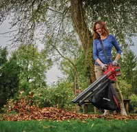 Cordless Leaf Vacuum VENTURRO 18/210