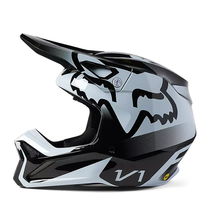 V1 Leed Helmet