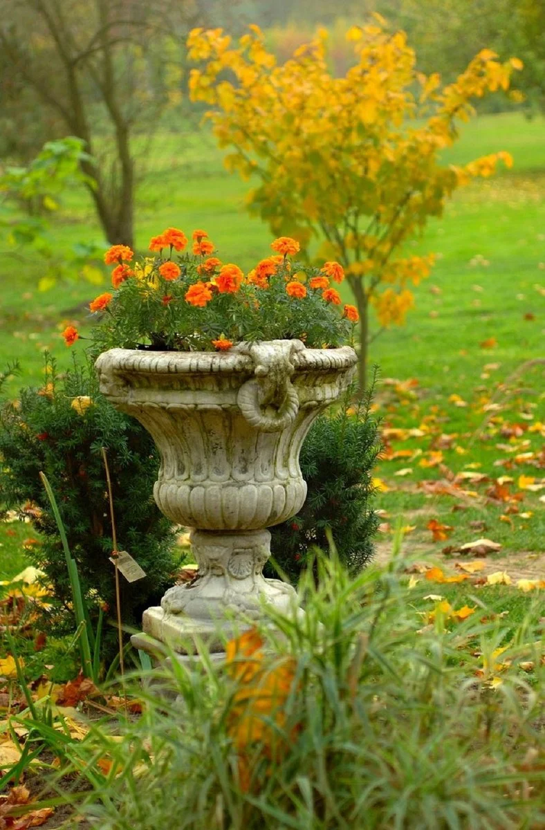 Casa Padrino maceta decorativo de jard¨ªn barroco gris claro 73 x 67 x A. 70 cm - Macetero de estilo barroco - Decoraci¨®n barroco de jard¨ªn - Decoraci¨®n barroco de terraza - Accesorios barroco