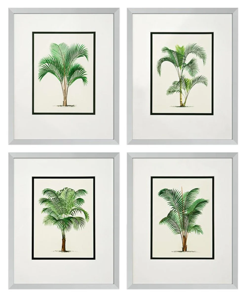 Casa Padrino Imágenes / Art Print Conjunto de 4 Palmas Multicolores 43 x H. 53 cm - Decoración de Lujo
