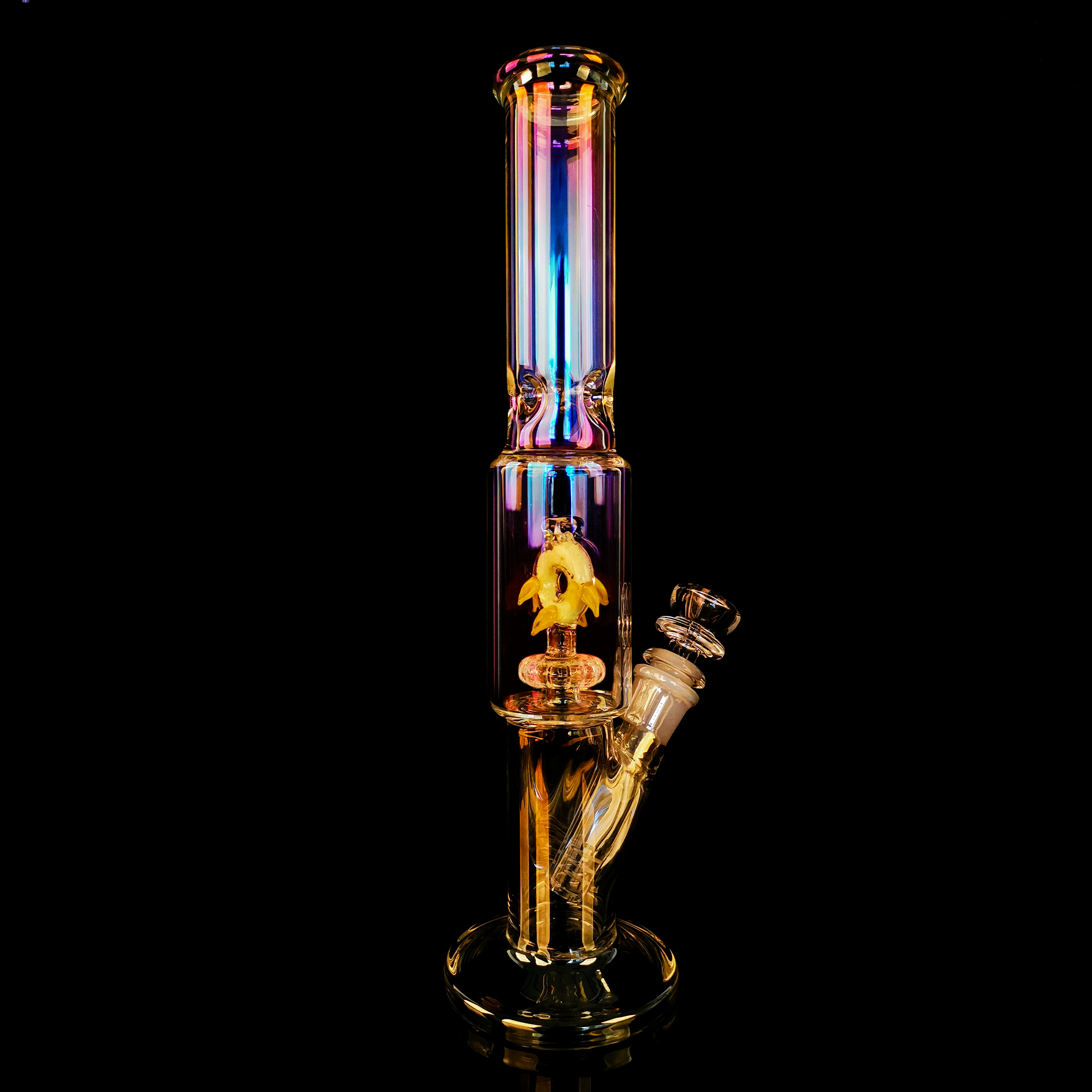 Handmade Glass Bong  Pisces - RORA
