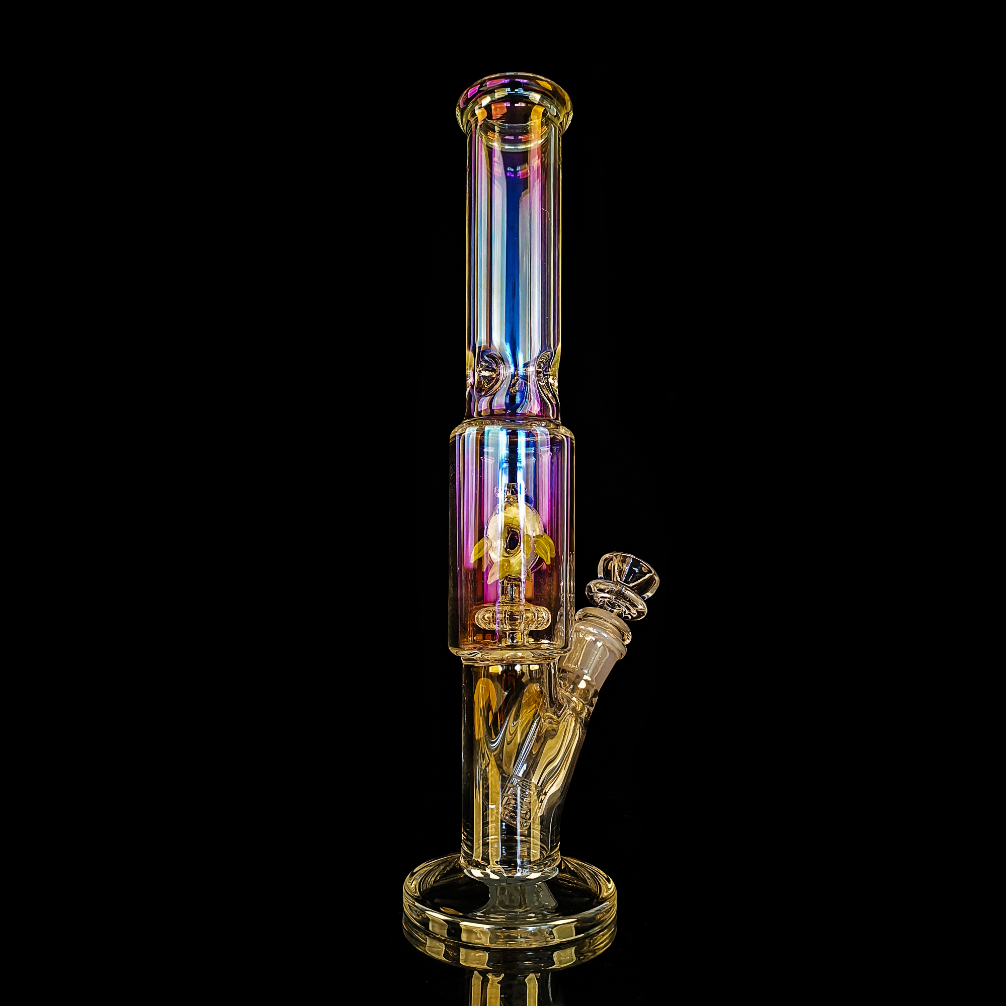 Handmade Glass Bong  Pisces - RORA
