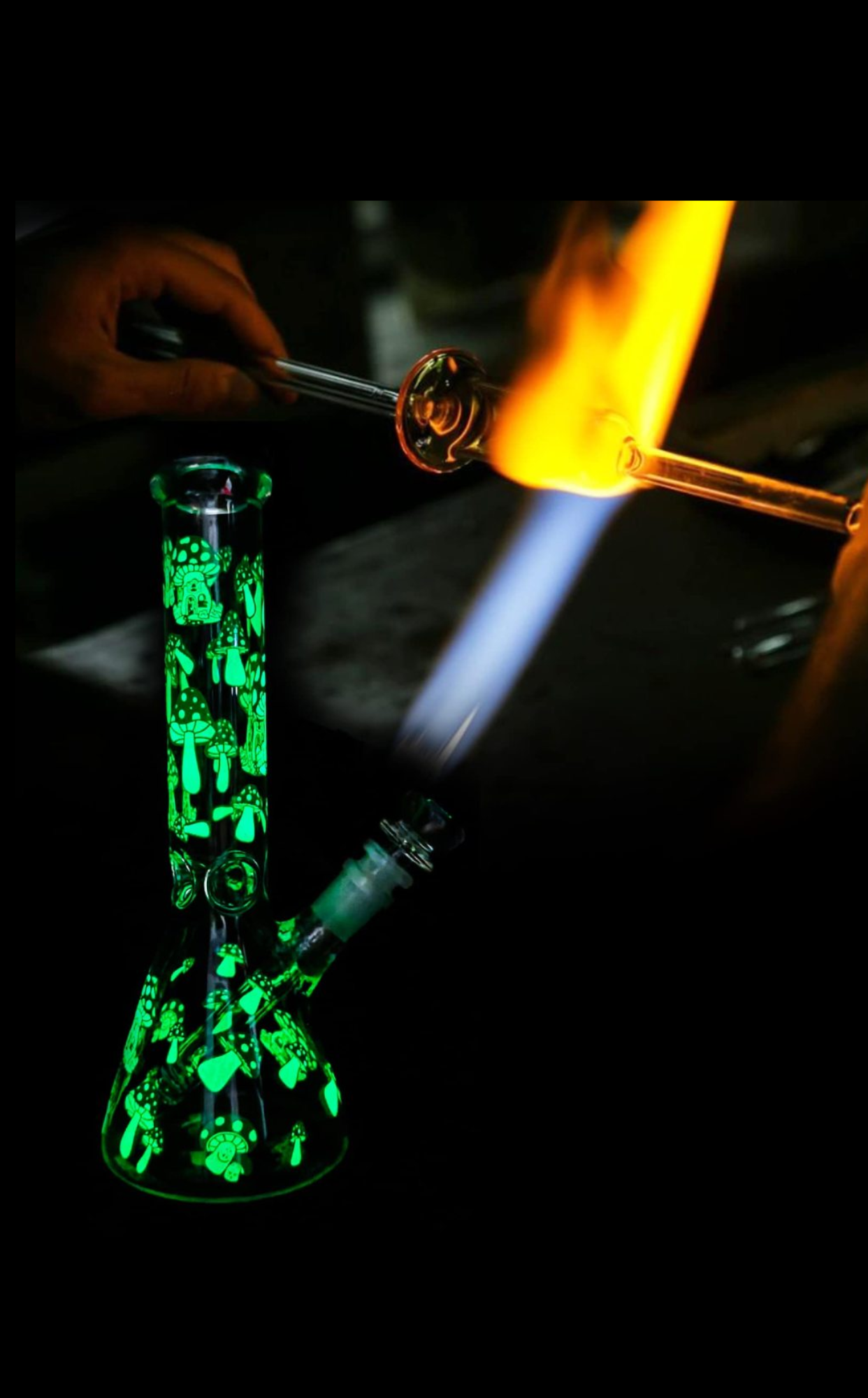 rora glass bong