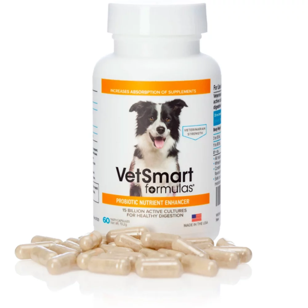 Probiotic Nutrient Enhancer for Dogs - 15 Billion Active Cultures - 60 Ct