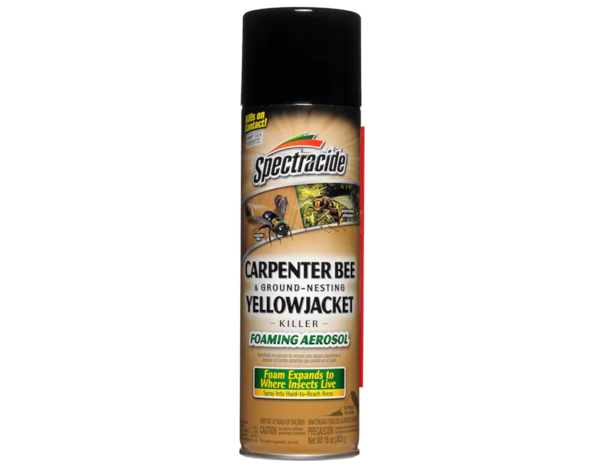6 Pack Spectracide Carpenter Bee and Ground Nesting Yellow Jacket Aerosol, 16oz