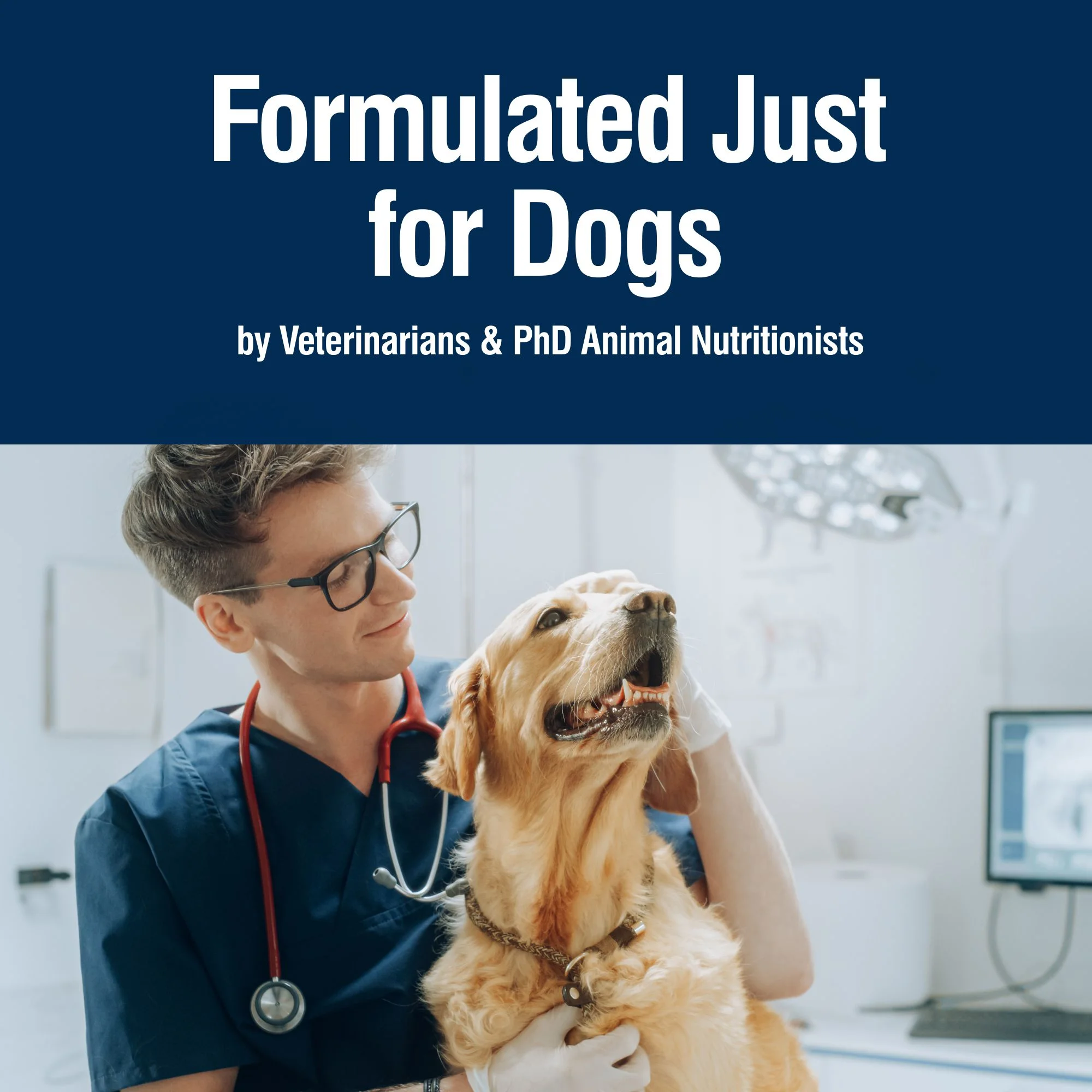 Blue Buffalo True Solutions Skin & Coat Care Wet Dog Food, Whitefish, 12.5 oz. Can