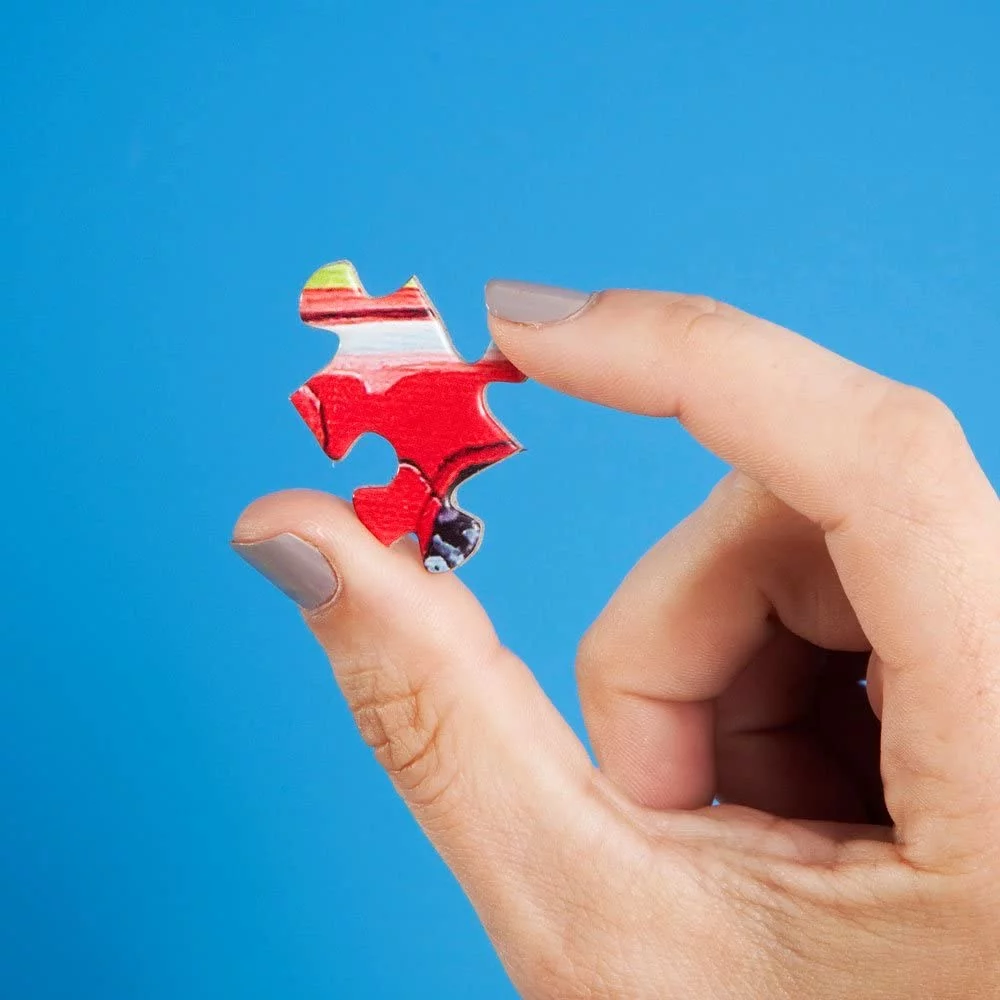 Bits and Pieces - 300 Piece Jigsaw Puzzle for Adults - New Friends by Artist Alan Giana - Measures 18