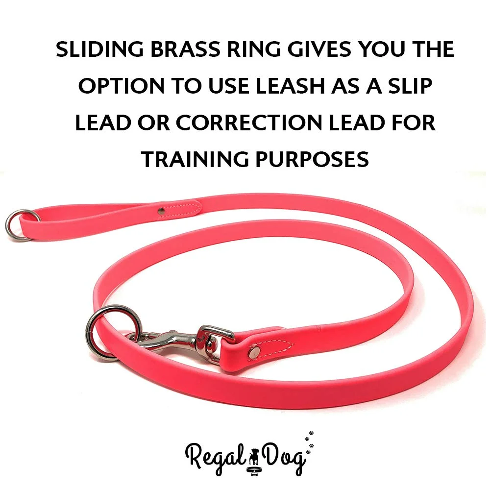 Regal Dog Products Waterproof Leash – 5 ft. Dog Leash with Easy to Use Collar Hook, Lightweight, and Odor Proof Training Pet Lead with Vinyl-Coated Webbing