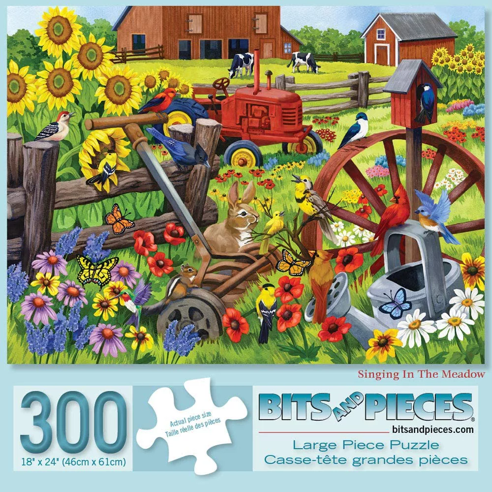 Bits and Pieces - Value Set of Two (2) 300 Piece Jigsaw Puzzles for Adults - Each Puzzle Measures 18