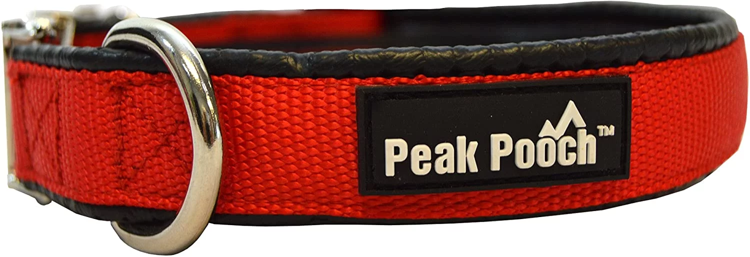 Peak Pooch Quick Release Dog Collar, Metal Buckle Dog Collars for Large Dogs, Red, L