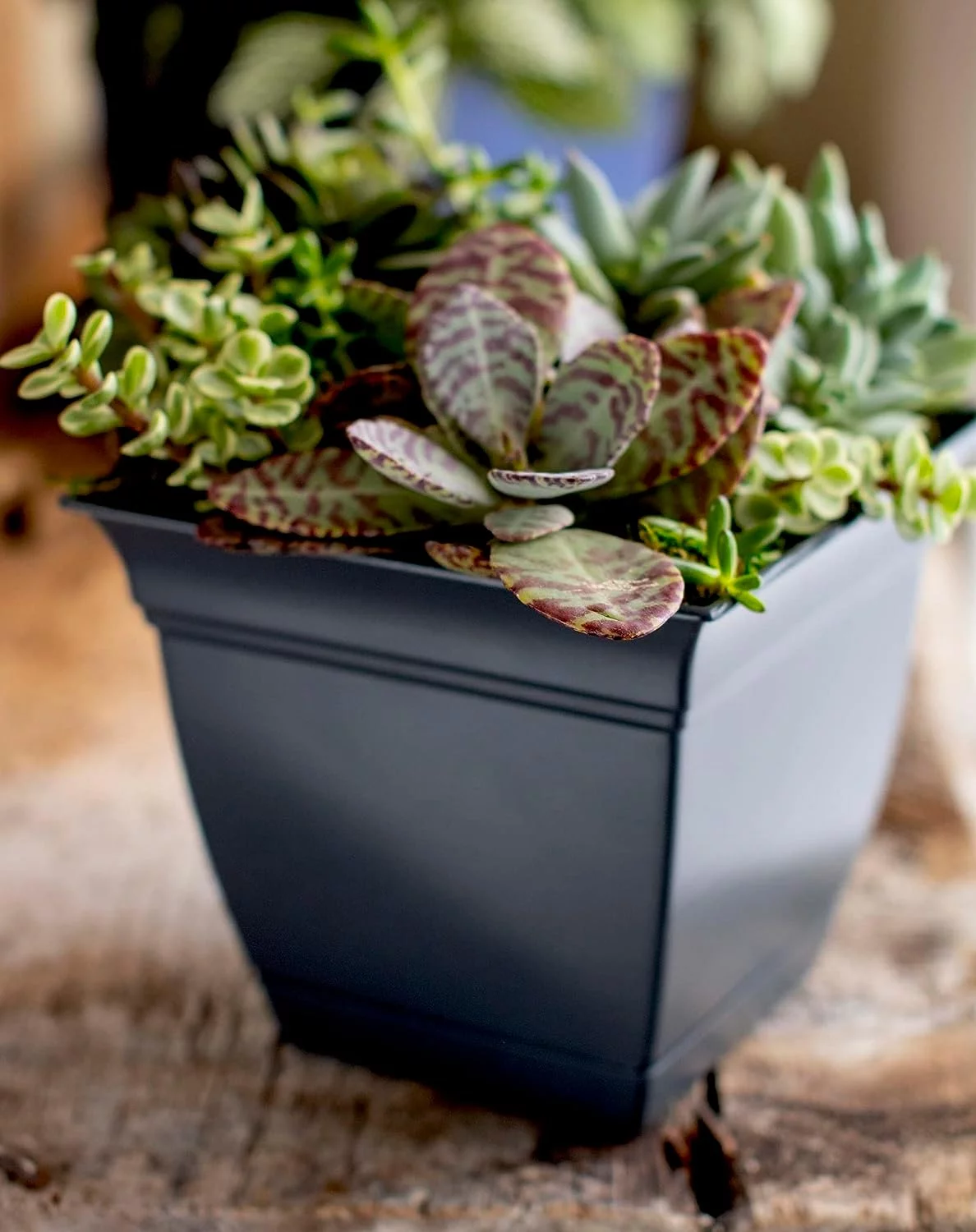 The HC Companies Outdoor/Indoor Plastic Planter Eclipse Square, Warm Gray, 8''