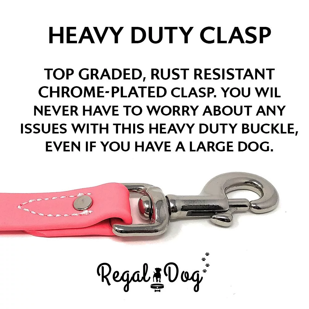 Regal Dog Products Waterproof Leash – 5 ft. Dog Leash with Easy to Use Collar Hook, Lightweight, and Odor Proof Training Pet Lead with Vinyl-Coated Webbing