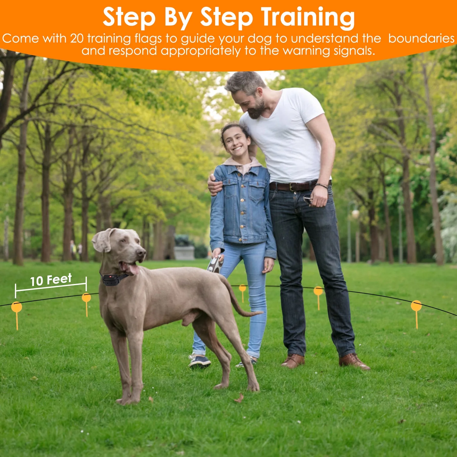 iMounTEK Electric Dog Fence System Pet Containment System with 9 Adjustable Levels IPX8 Waterproof Rechargeable Dog Training Collar for Small Medium Large Dogs, 1 Transmitter 1 Receiver