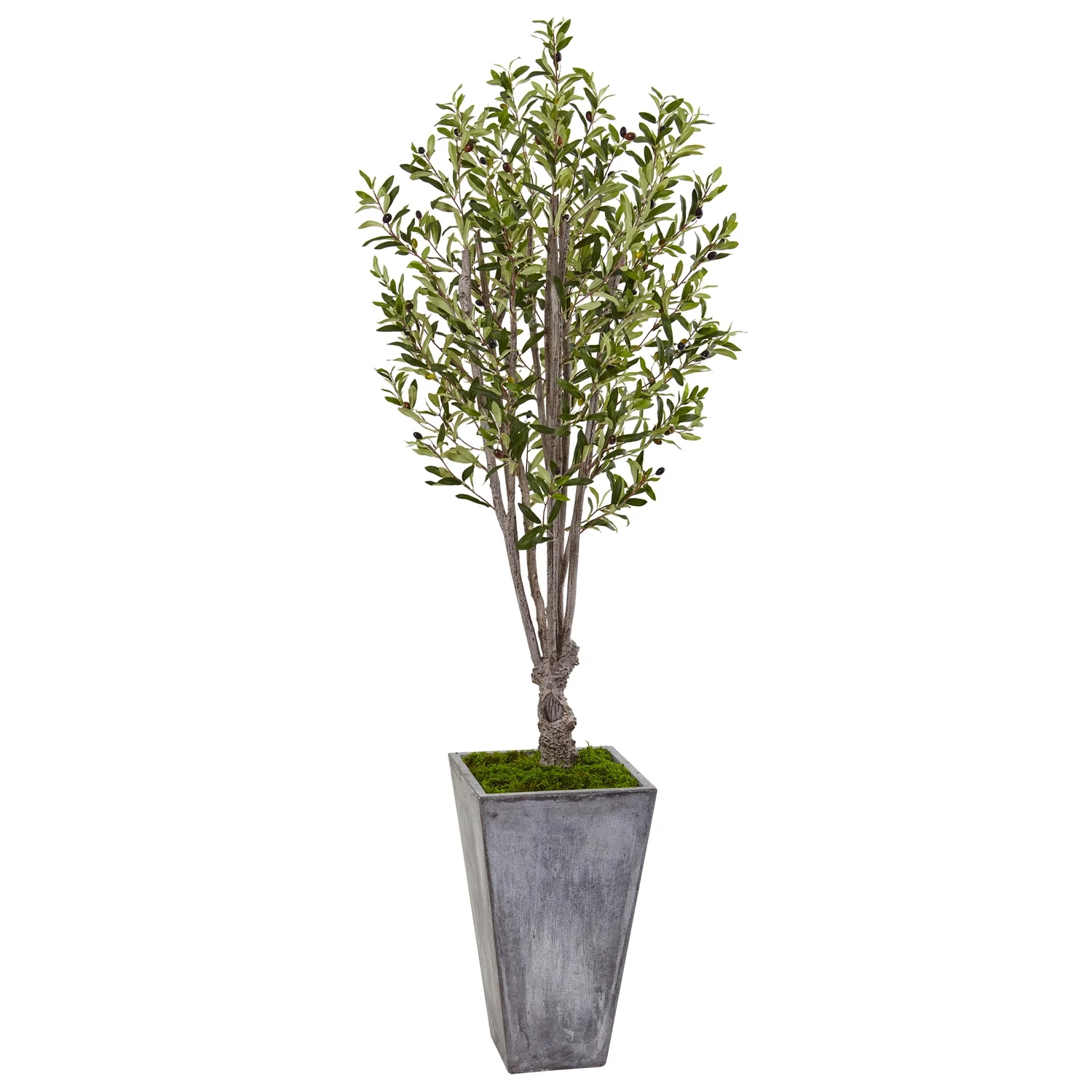 HomeStock Timeless Tradition 6Ft. Olive Artificial Tree In Stone Planter