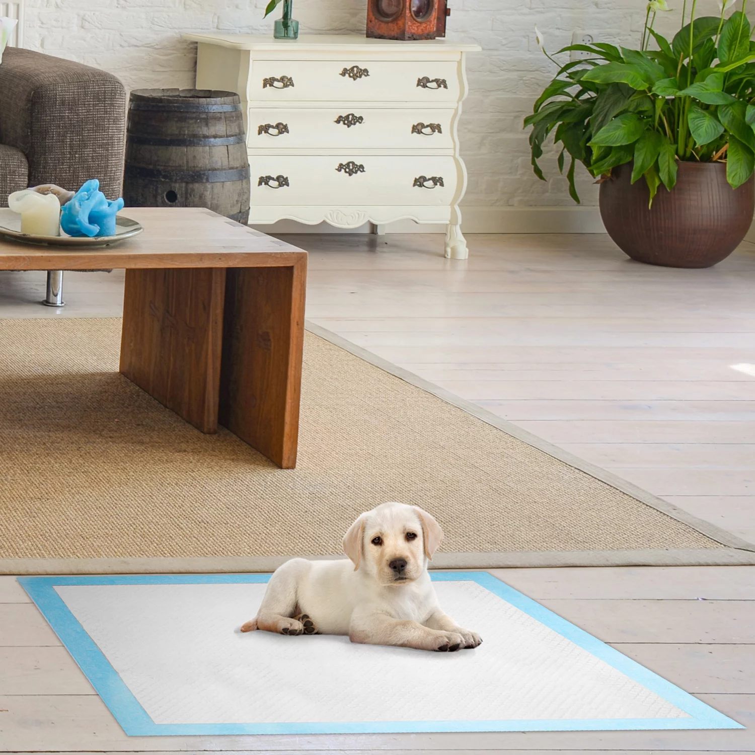 Pet Training Pads, iMountek Dog & Puppy Pads, M, 24x18 in, 50 Count,Disposable Dog Pee Pads