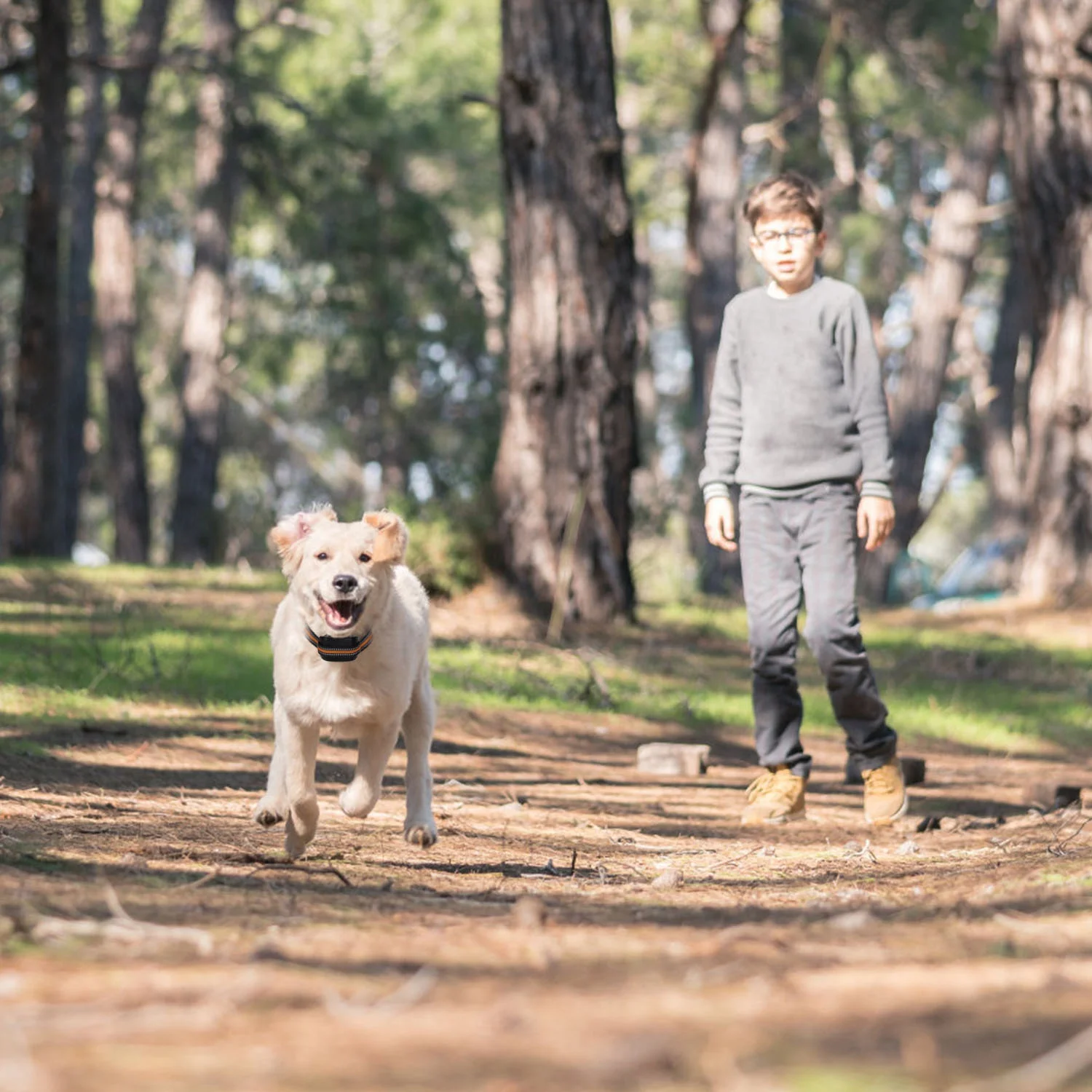 iMounTEK 2 in 1 Wireless Dog Fence GPS Dog Collar with 32-2887FT Radius IPX6 Waterproof for Small Medium Large Dogs, Black