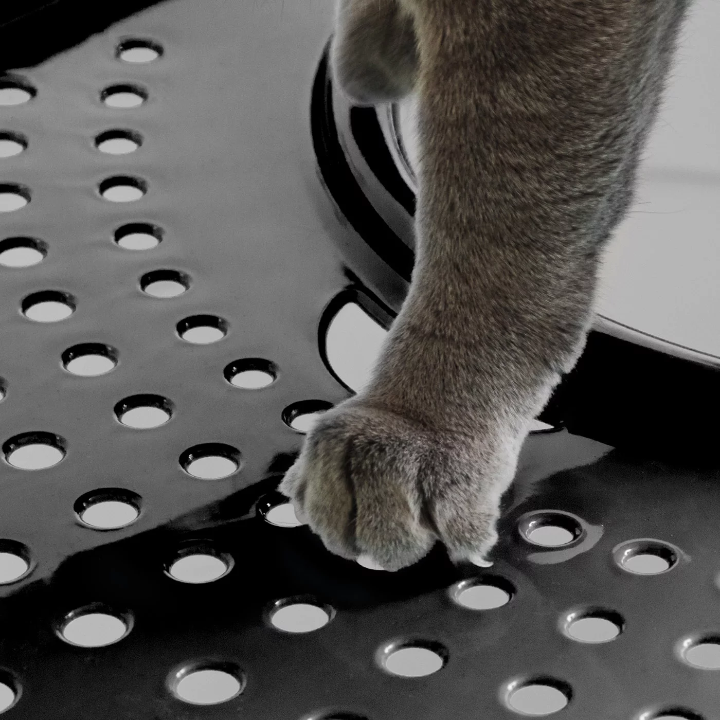 IRIS USA Large Oval Top Entry Cat Litter Box with Litter Catching Lid Privacy Walls and Scoop, White