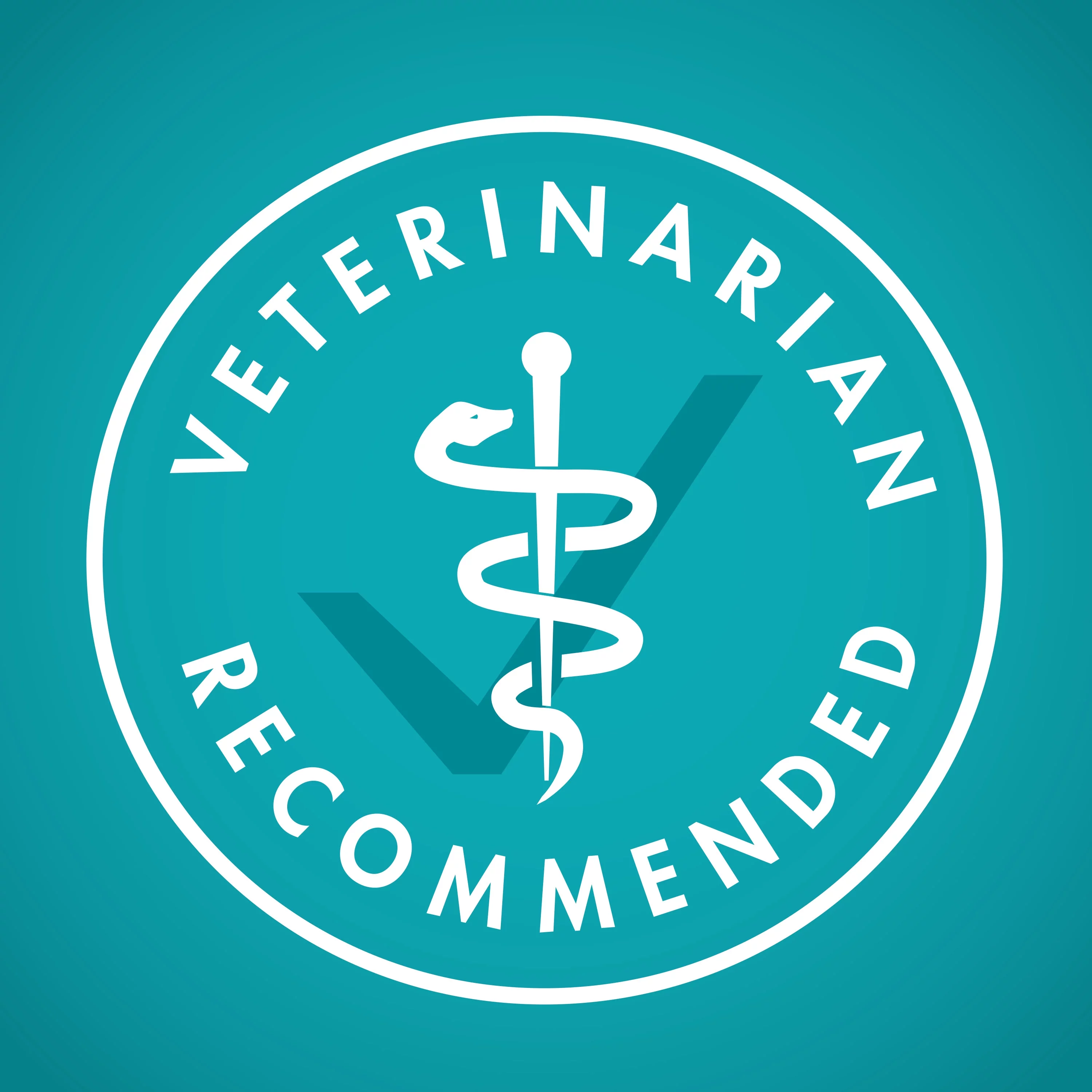 Purina ONE Pate Wet Cat Food, Natural Grain Free Soft Chicken, 3 oz Can