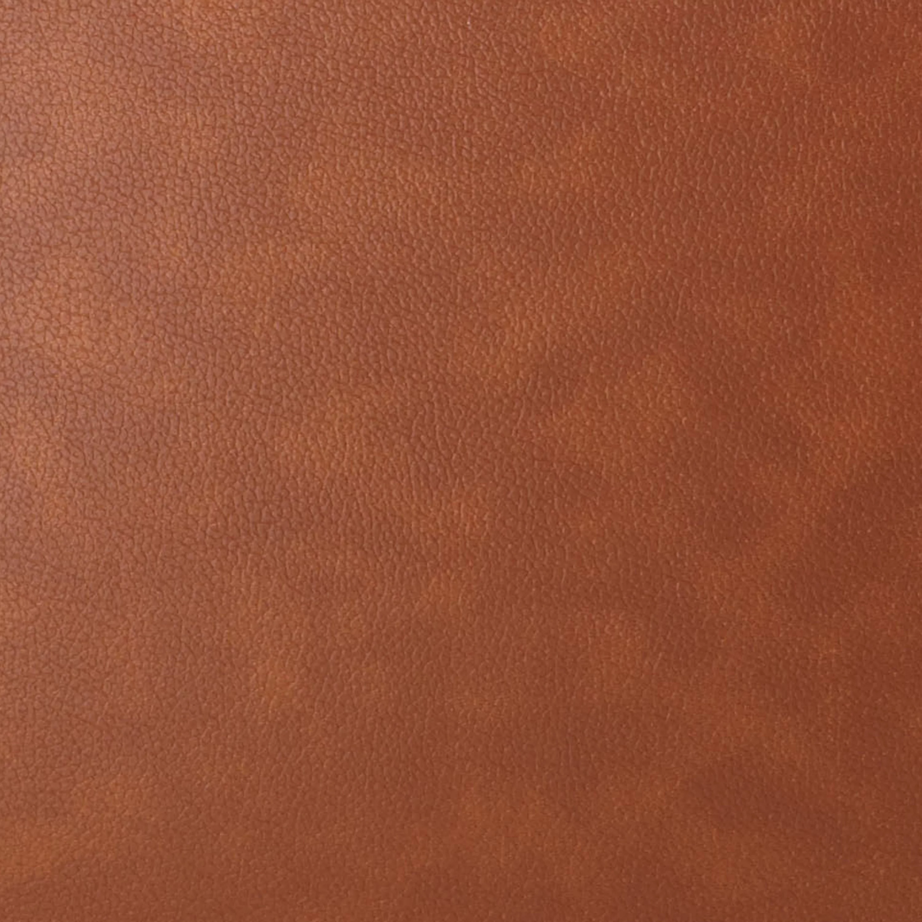 Crosley Vinyl Record Carrier Case