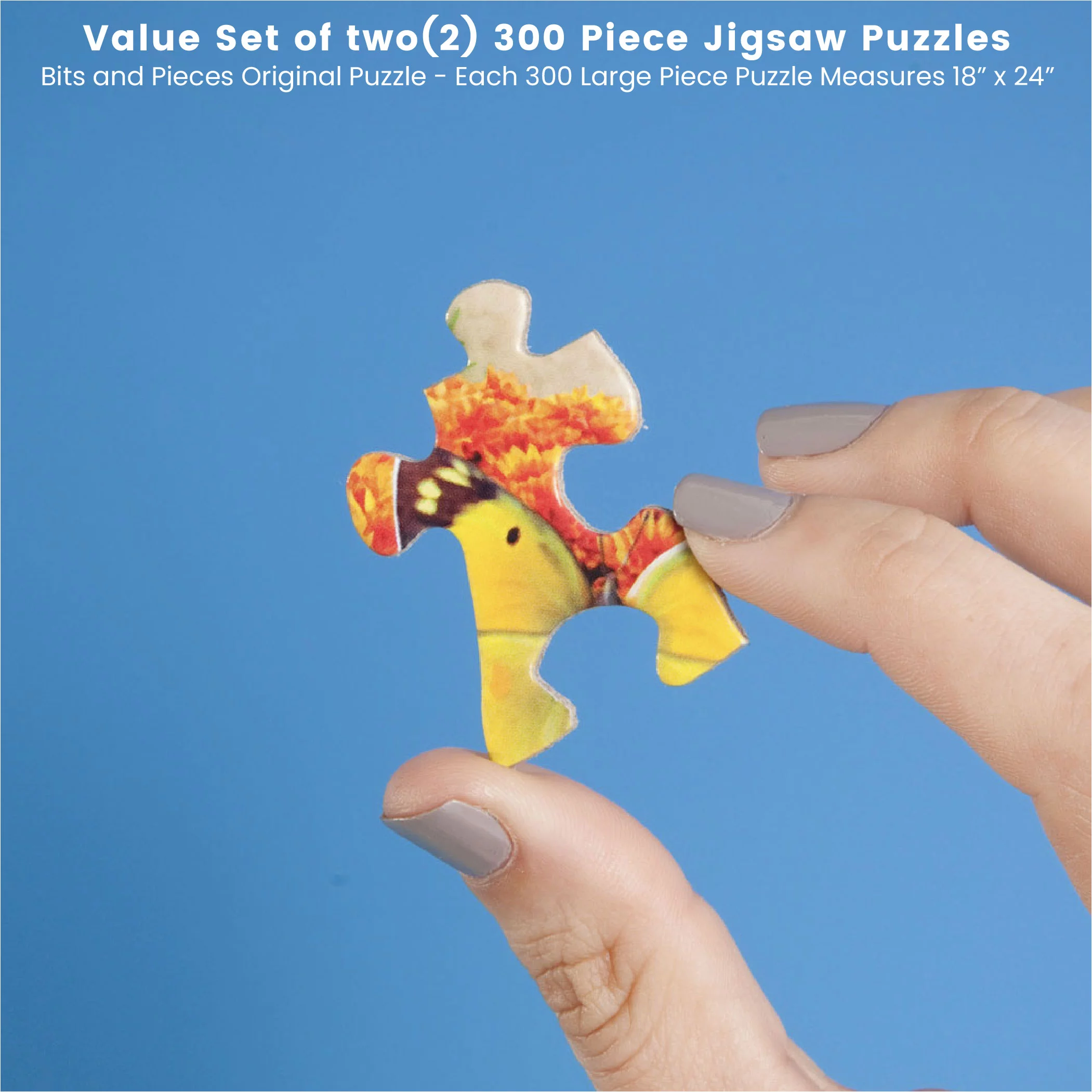 Bits and Pieces - Value Set of Two (2) 300 Piece Jigsaw Puzzles for Adults - Each Puzzle Measures 18