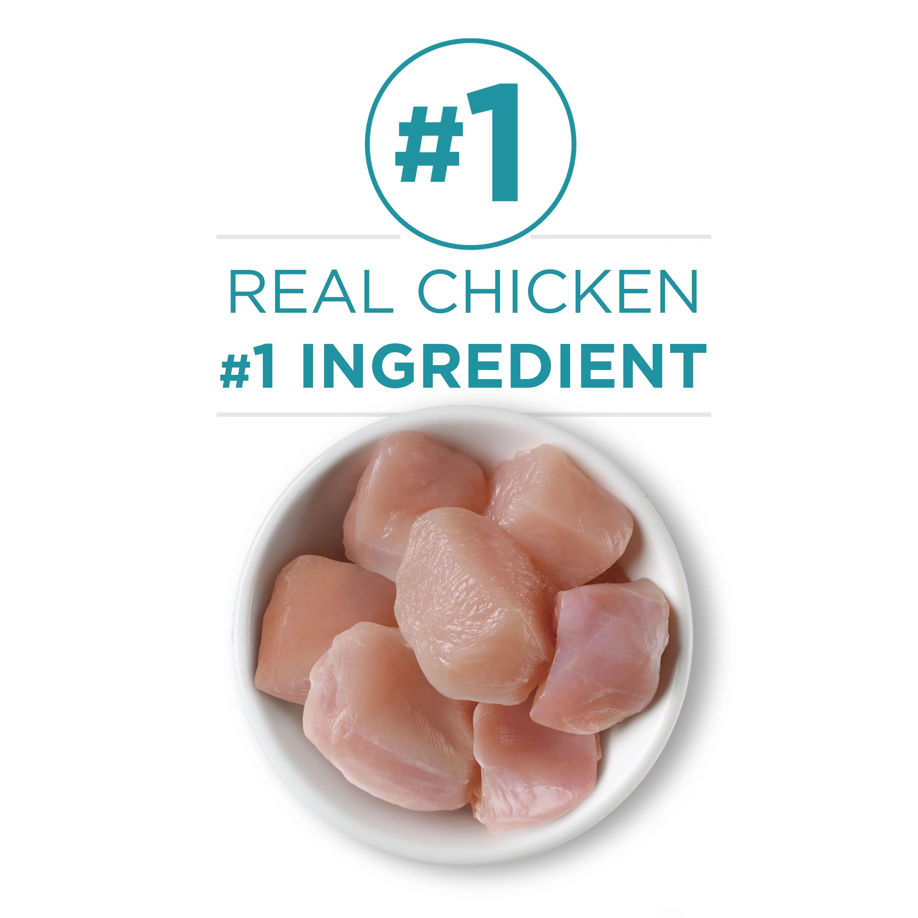 Purina ONE Pate Wet Cat Food, Natural Grain Free Soft Chicken, 3 oz Can