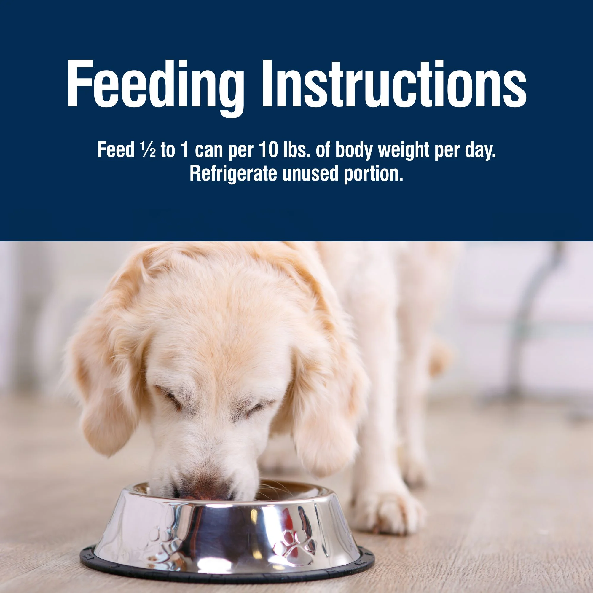 Blue Buffalo True Solutions Skin & Coat Care Wet Dog Food, Whitefish, 12.5 oz. Can