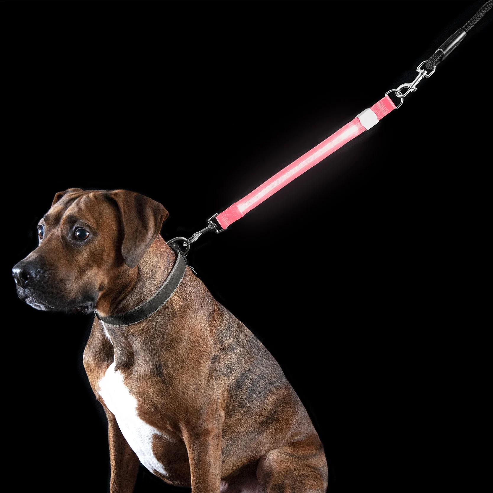 FurHaven Pet Dog Collar | Safety LED Light-Up Leash Extender, Pink
