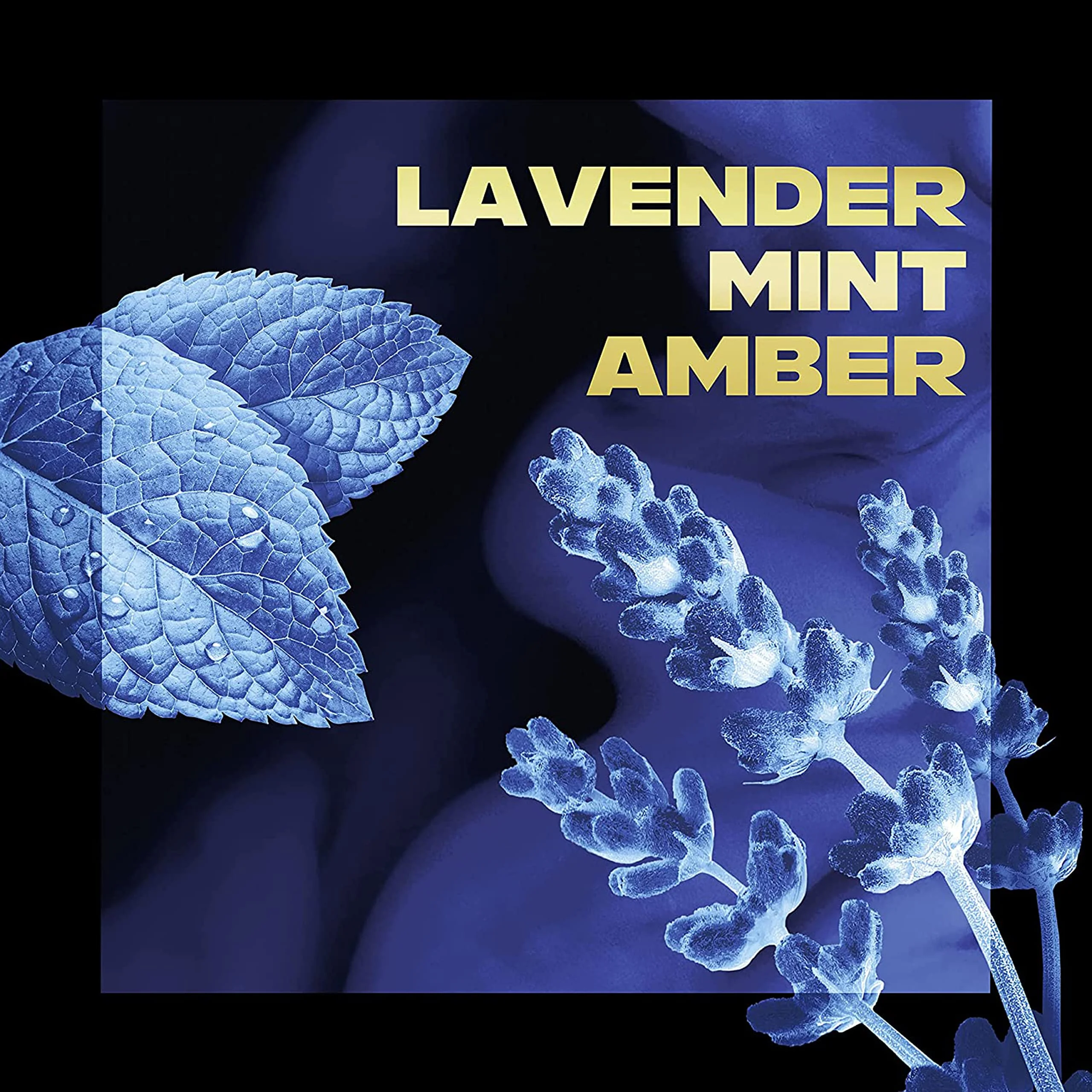 Axe Fine Fragrance Collection Premium Deodorant Body Spray For Men Blue Lavender 3 Count With 72H Odor Protection And Freshness Infused With Lavender, Mint, And Amber Essential Oils 4Oz.