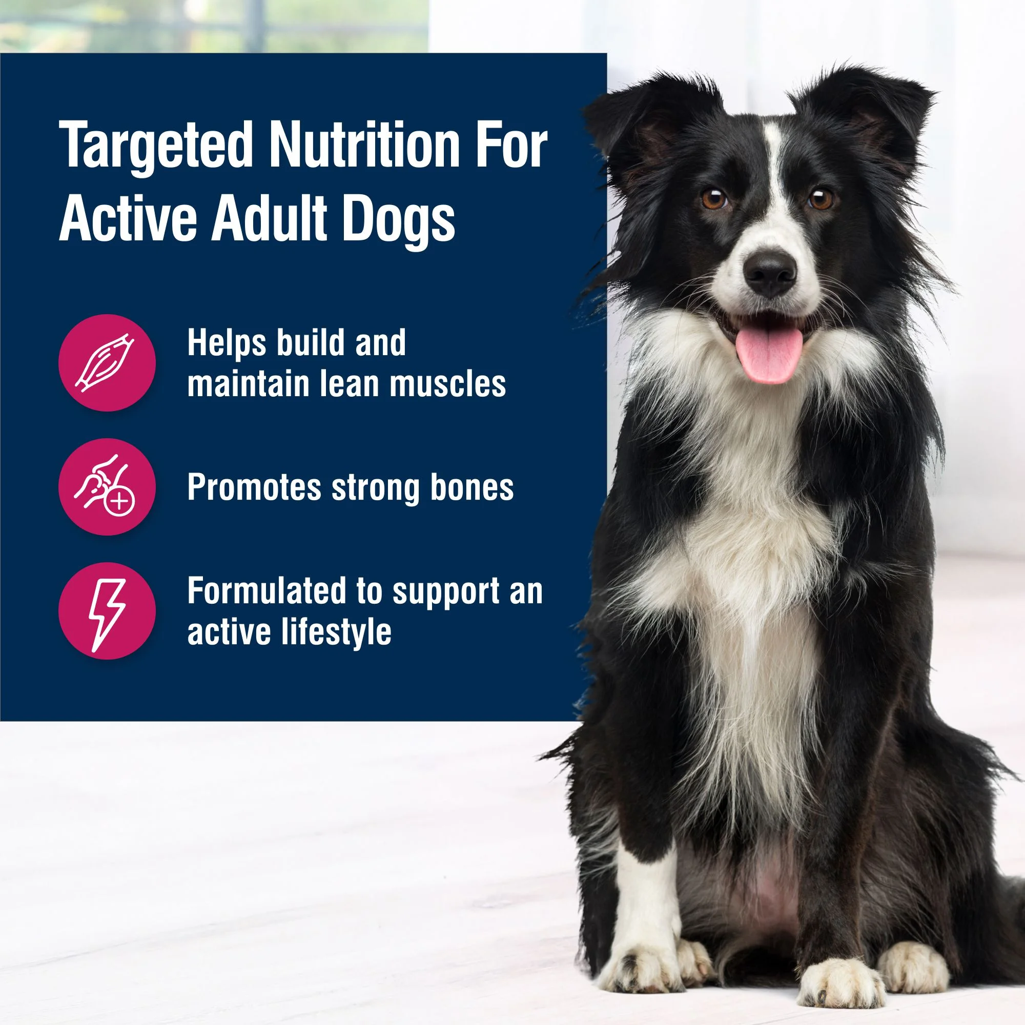 Blue Buffalo True Solutions Top Form Active Adult Wet Dog Food, Chicken, 12.5 oz. Can