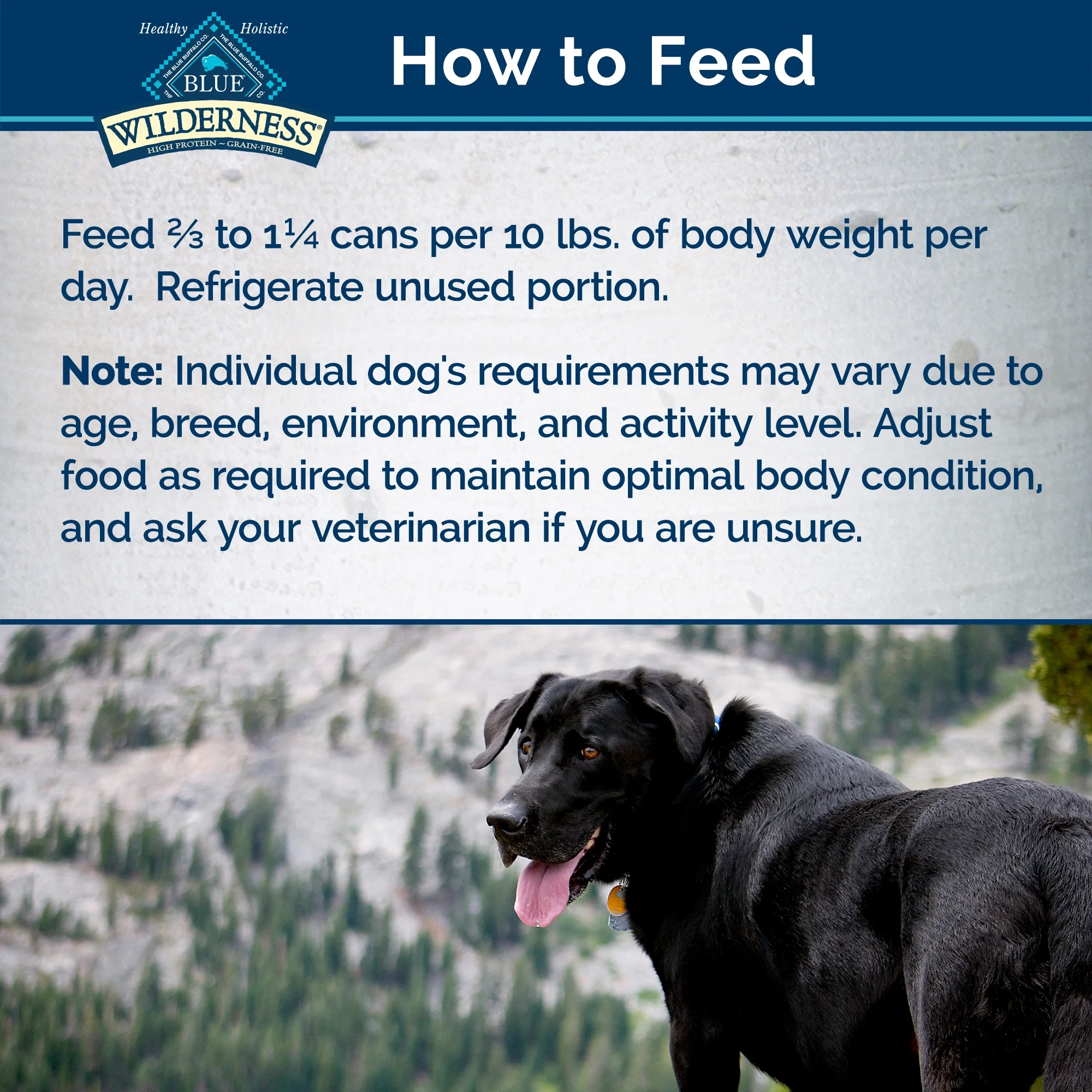 Blue Buffalo Wilderness Wolf Creek Stew High Protein Grain Free, Natural Wet Dog Food, Hearty Beef Stew in gravy 12.5-oz can (pack of 12)