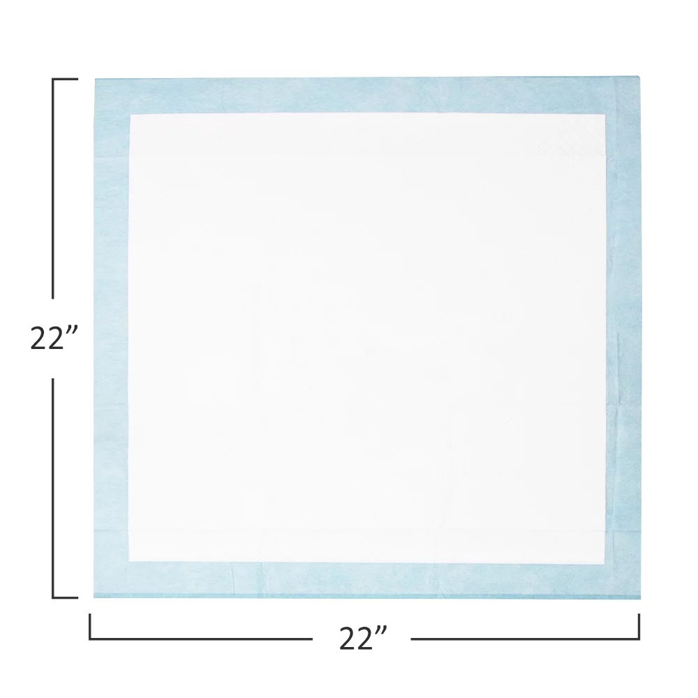 Fluffy Ventures Pet Dog and Puppy Pee Training Pads, Disposable, Regular 22