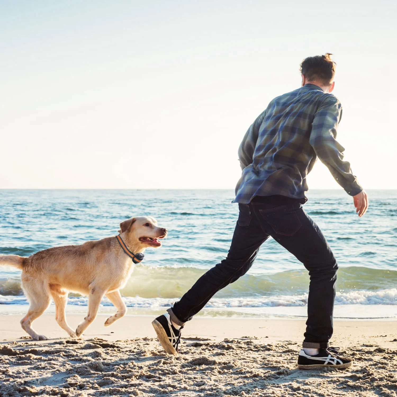 iMounTEK 2 in 1 Wireless Dog Fence GPS Dog Collar with 32-2887FT Radius IPX6 Waterproof for Small Medium Large Dogs, Black