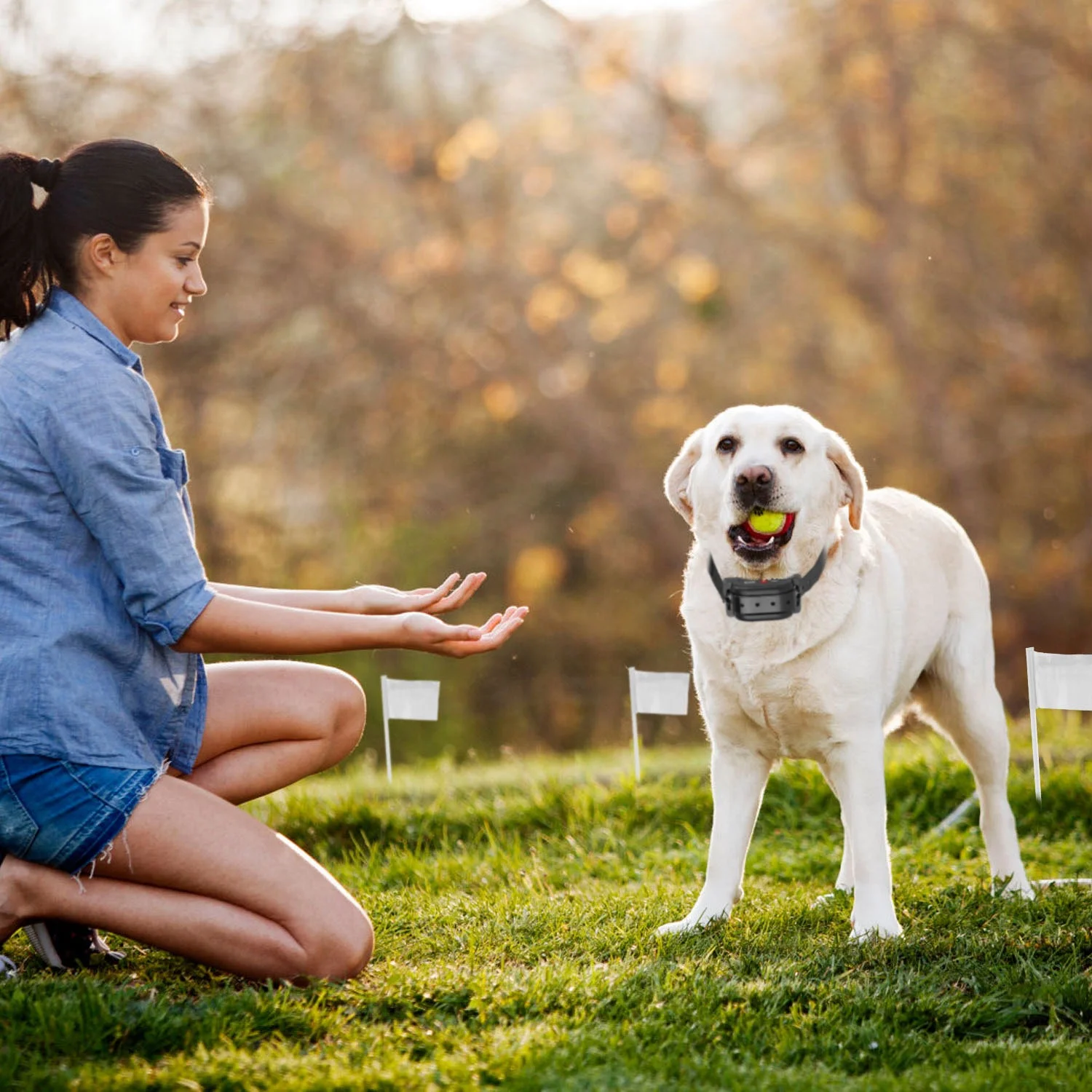 iMounTEK Electric Dog Fence System Pet Containment System with 9 Adjustable Levels IPX8 Waterproof Rechargeable Dog Training Collar for Small Medium Large Dogs, 1 Transmitter 1 Receiver