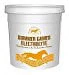 Kentucky Performance Prod-Summer Games Electrolyte Supplement For Horses 5 Pound