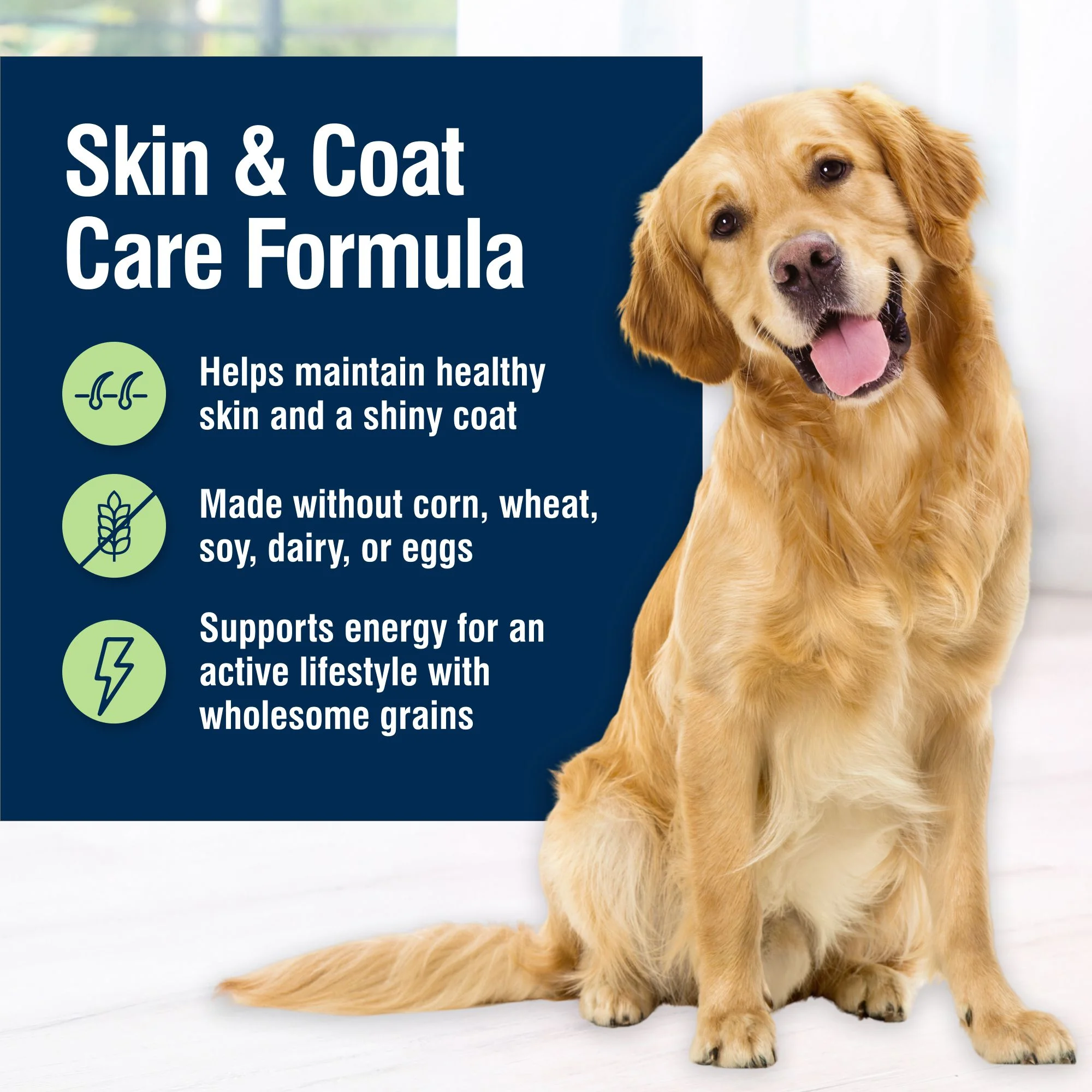 Blue Buffalo True Solutions Skin & Coat Care Wet Dog Food, Whitefish, 12.5 oz. Can