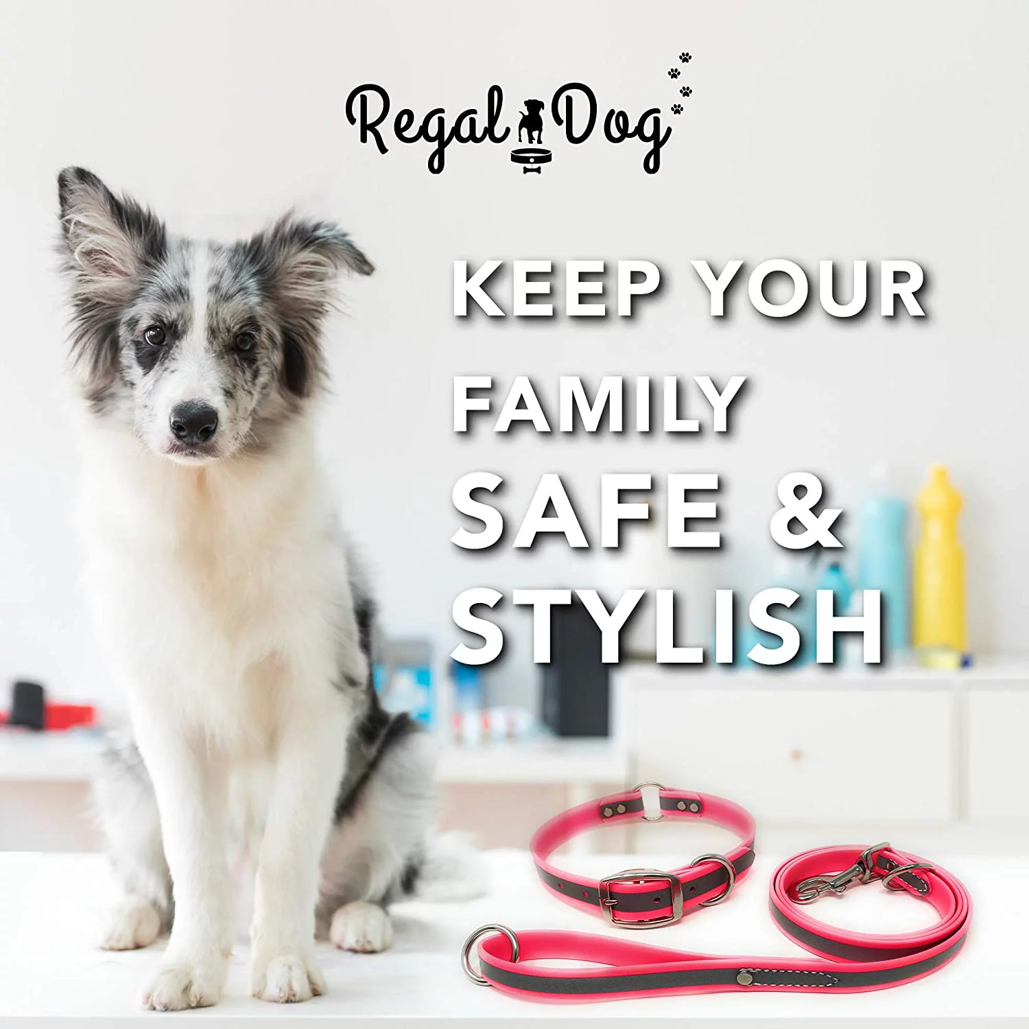 Regal Dog Products Reflective Dog Collar and Leash Set - Waterproof Biothane Dog Collar with Heavy Duty D Ring, Center Ring & 5'ft Leash for Training