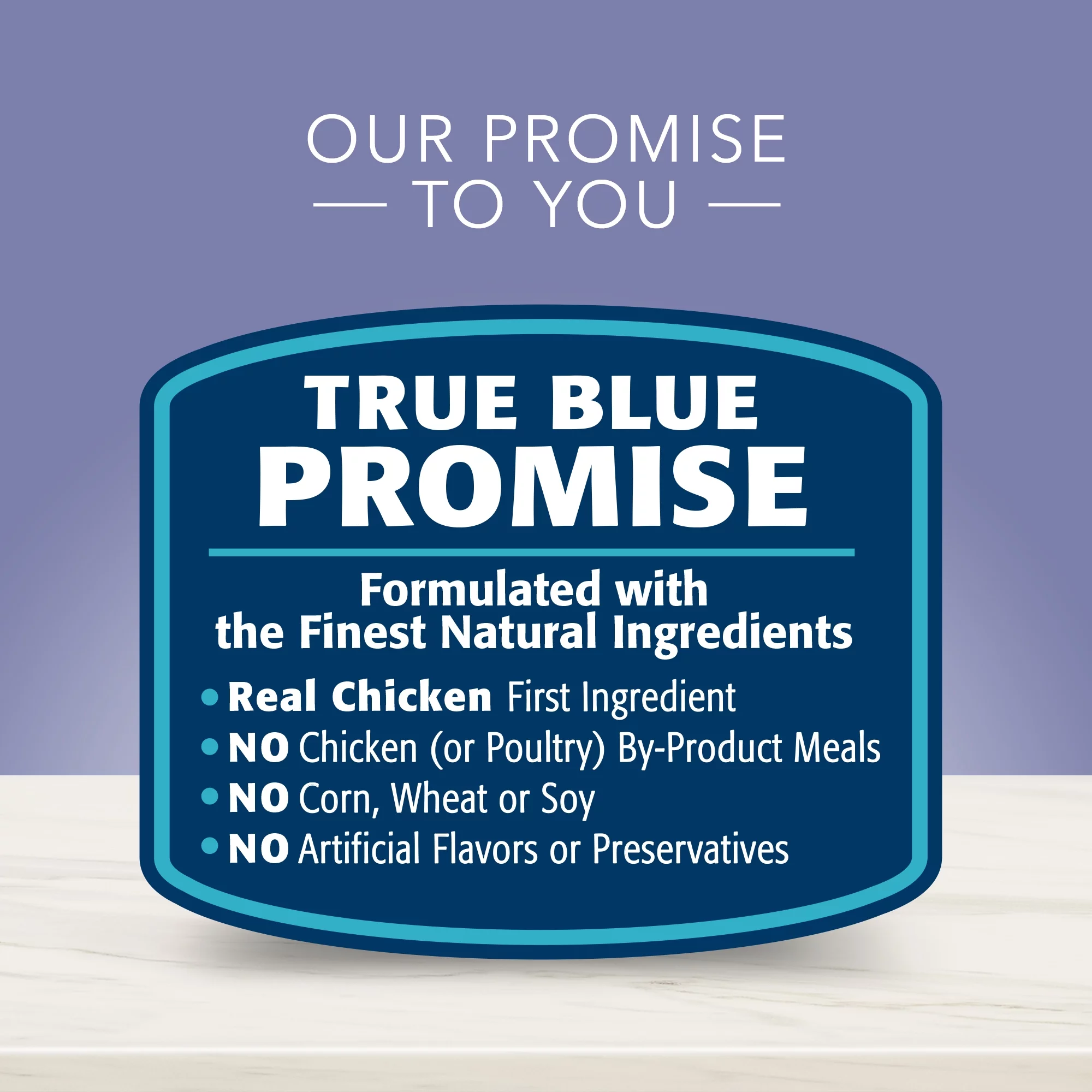 Blue Buffalo True Solutions Jolly Joints Natural Mobility Support Wet Dog Food, Chicken 12.5-oz Can